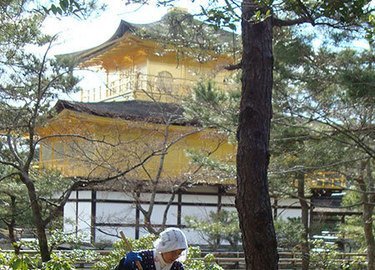 Immaculate grounds at Golden Pavillion Kyoto